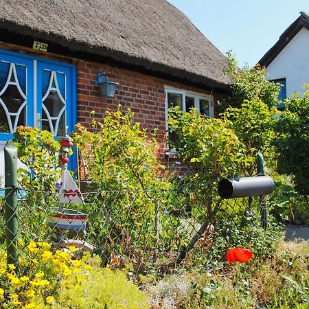 Groß Zicker Moderne Ferienwohnung Mit Gartennutzung - Haus Inselwind Fewo Meerbucht מראה חיצוני תמונה